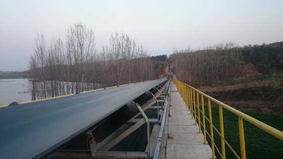 Automatic Belt Conveyor 415V,440V 400mm Quarry And Mineral Transport Coal Tripper Conveyor